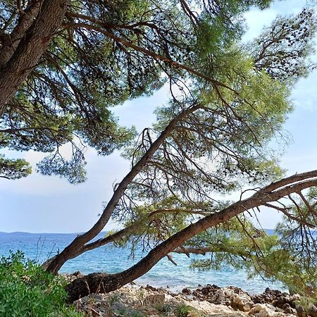 Apartments Jaksic Trogir Eksteriør bilde