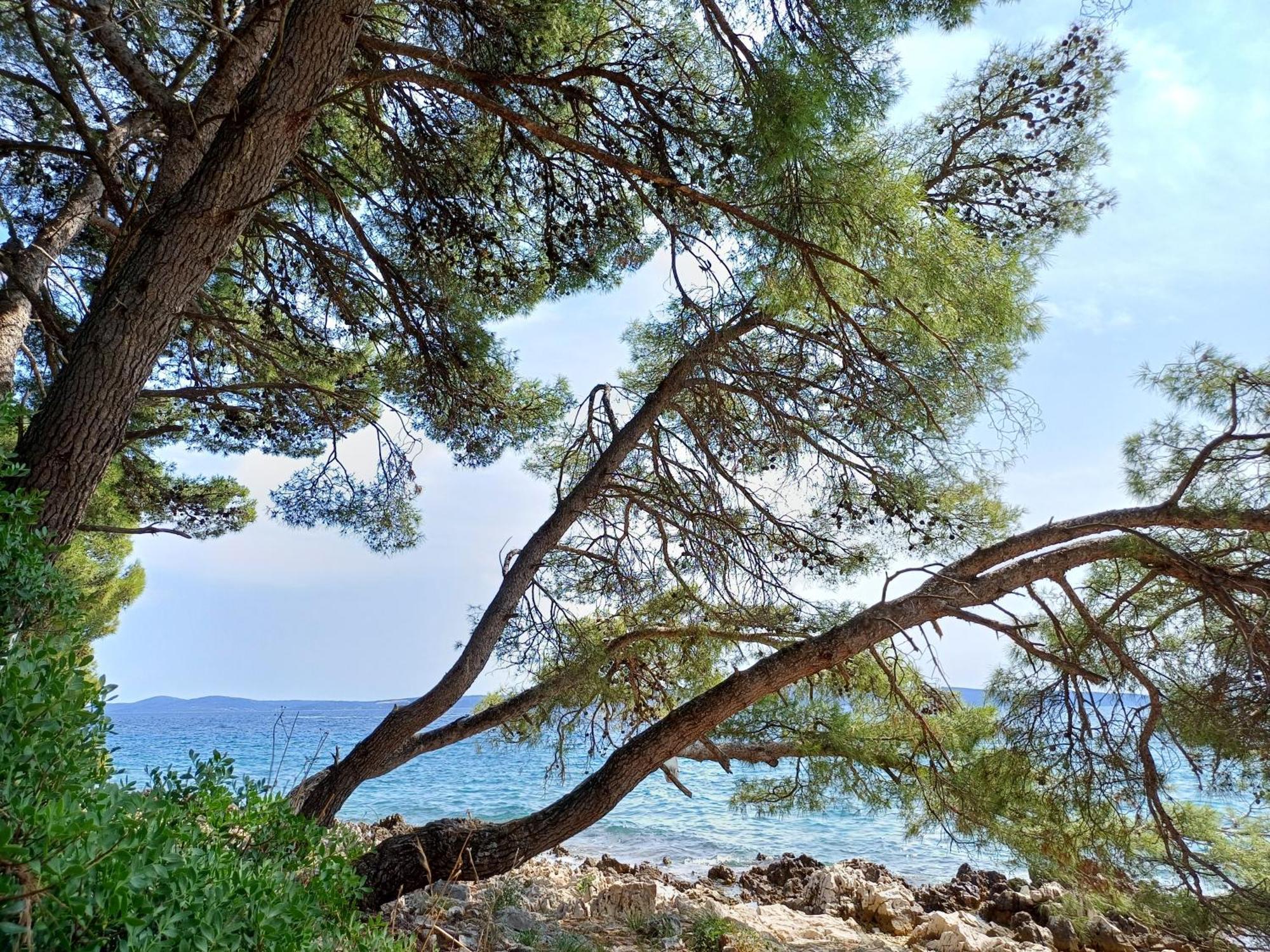 Apartments Jaksic Trogir Eksteriør bilde